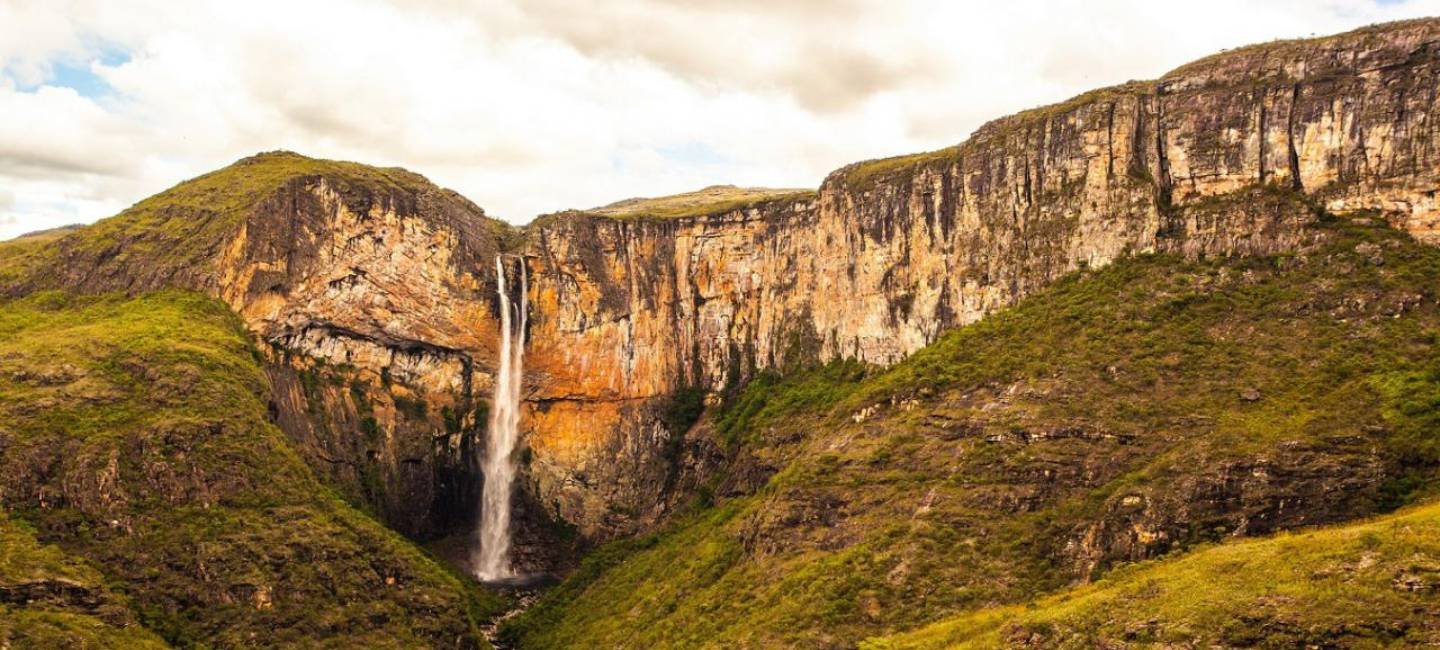 imagem featured monitoramento florestal
