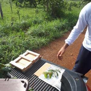 imagem texto autorização e supressão de vegetação 2