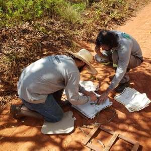 imagem texto inventario florestal 2