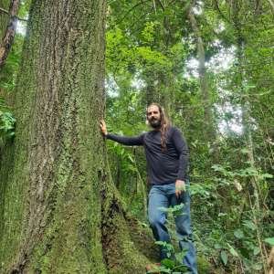 imagem texto monitoramento florestal 2