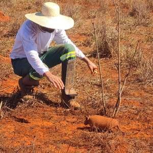 imagem texto plano de intervenção ambiental 2